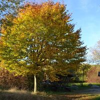 Kneippbecken