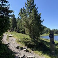 Hier befindet sich der größte zusammenhängende Zirbenwald der Ostalpen