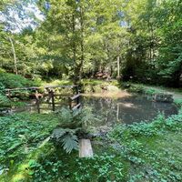 Alte Mühle mit Fischteich