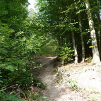 Aufstieg zur Hirschwand