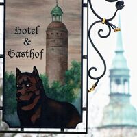 Schild Dreibeiniger Hund zu Görlitz
