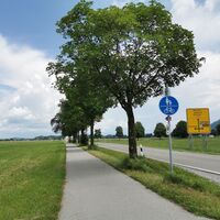 Weg in Richtung Tegelbergbahn