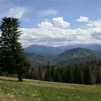 ganz markant der Hochschneeberg