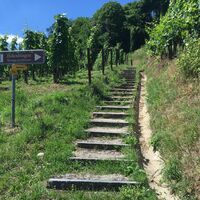 Fußweg zum Hohenklingen