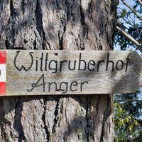 Hoher Zetz (c)Weges (8).jpg