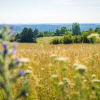 Vom Eisberg hat man einen traumhaften Blick in den Nordschwarzwald
