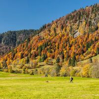Wanderweg in Menzenschwand