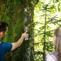 Ausblicke am Veischeder Sonnenpfad