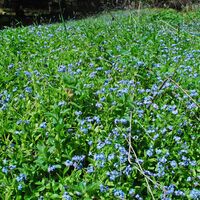 Hochalm aus dem Utschgraben über Eisenpass und Herrenkogel