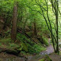 Römerschlucht