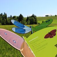 Informationstafeln am Moorpfad Pfronten