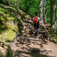 vom Windhof zur Münz