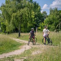 Gravelbiken am Schlangenberg