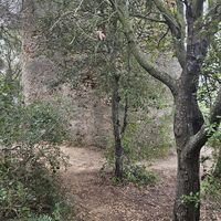11.5 km Mulino a vento fenicio