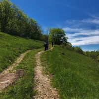 Weg des Maquis in Richtung des Bauernhofs Morez