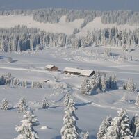 Hörmoosgebiet nach Neuschnee