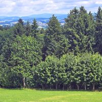 Blick auf St. Agatha