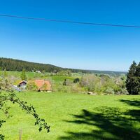 Stockwald