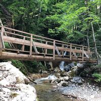 In der Wörschachklamm