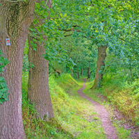 Schmaler Wanderweg entlang der Oste