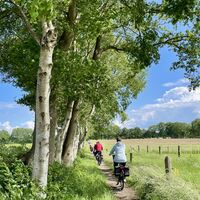 Radfahren in Aurich mit Wallhecken