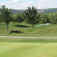 Golfplatz Bild 3, Rasenfläsche mit Bäumen