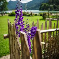 Kurpark Schliersee