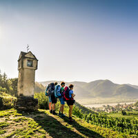 Wanderer hoch über Spitz