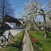 Raabtalradweg in Richtung Gösser in der Oststeiermark