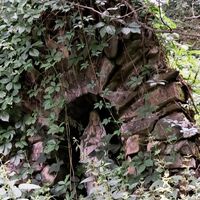 Madonnengrotte im Wald