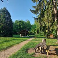 Wald von Rothonne bei Belley
