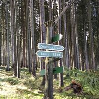 In den Tälern von Dreba und Plothenbach