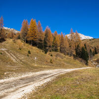 In località Gosse si prende il sentiero di sinistra