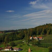 Nicht zu verkennen: Richtung STEIN gibt's WEIN