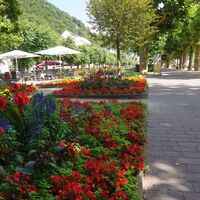 Blumenstadt Bad Ems