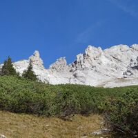 unterhalb dem Brandstein auf der Brandwiese