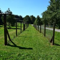 NWKW_Tag07_Pyhrabruck