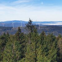 Windpark Sternwald