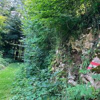 Losenstein-Hohe Dirn Trail