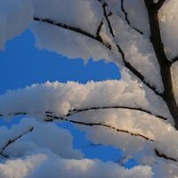 Rund um den Glockenberg ab/bis Ulrichskirchen