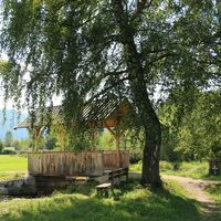 Wandern auf dem Moor- und Streuwiesenpfad
