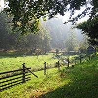 Idyllisches Holzbachtal