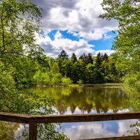 Blick auf den Mühlenteich bei Federlohmühlen