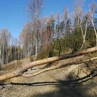 Wanderung rund um Burglemnitz