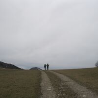 Gaisstein