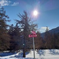 Schneeschuhschild