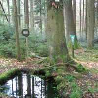 Berrothsbrunnen als Bühlerquelle bei Pommertsweiler