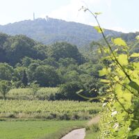 Tourismus Service Bergstrasse Burgensteig Melibokus Brigitte ZimmermannPetrullat