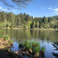 Spintikteich