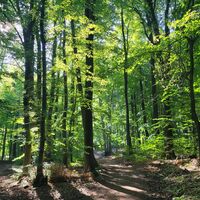 Wiehengebirge
